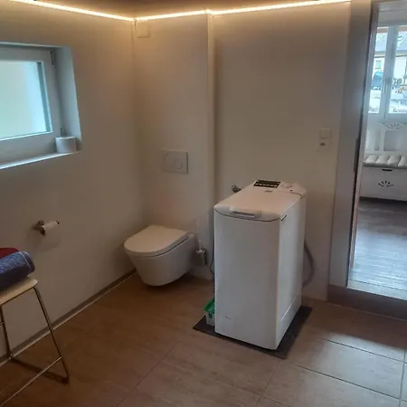 Niesenblick Apartmán Aeschlen